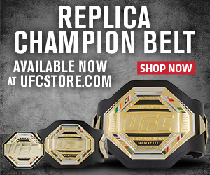UFC Replica Champion Belt