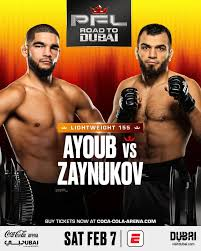 MMA-Amin-Ayoub-vs.-Makkasharip-Zaynukov